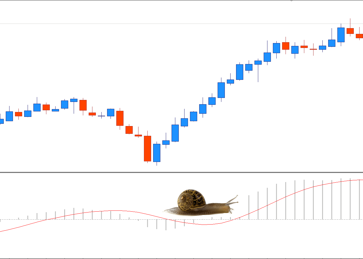 A snail pace lagging behind A snail pace lagging behind