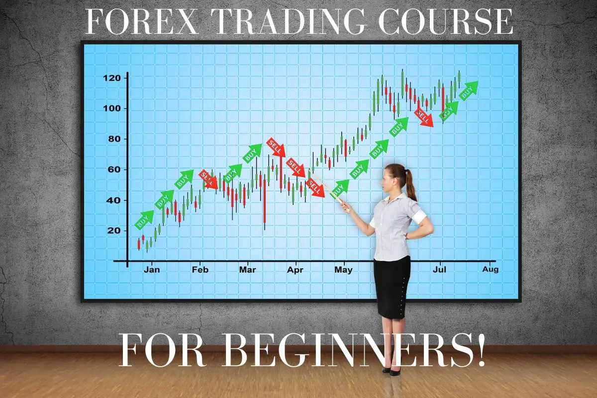 A Online Forex Trading Course For Beginners [2020 ...