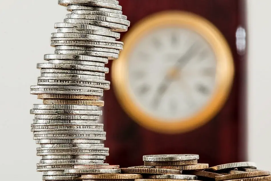 Long Term Income
